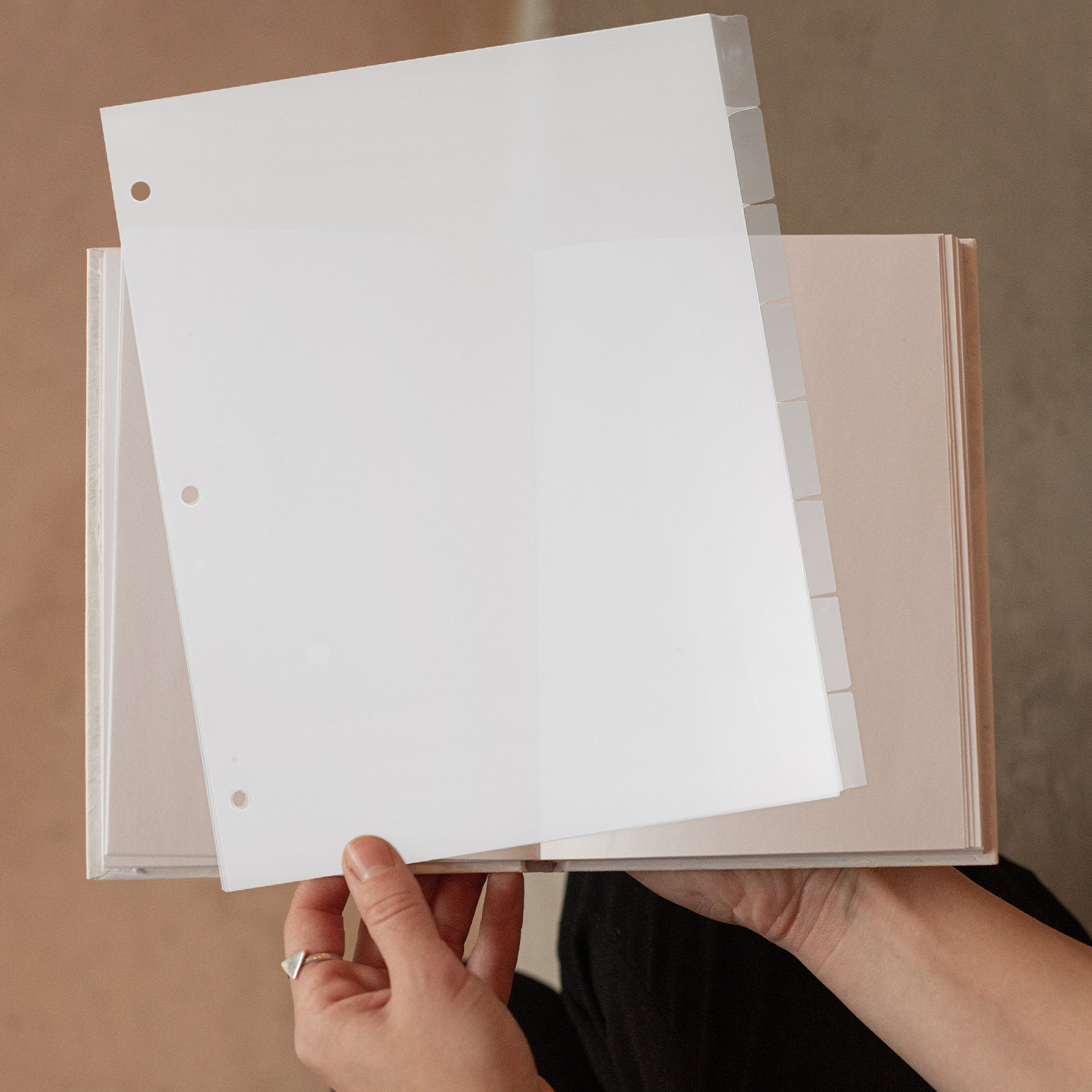 8枚入りインデックスディバイダー、PPプラスチック製、6穴、 - Index Tab Divider のレビューと価格